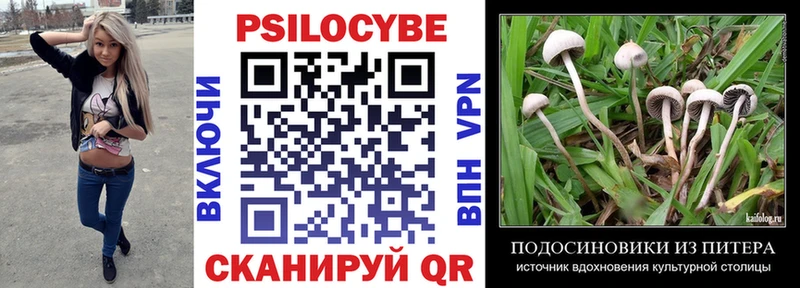 Псилоцибиновые грибы мицелий  Купить где  Южно-Сухокумск 